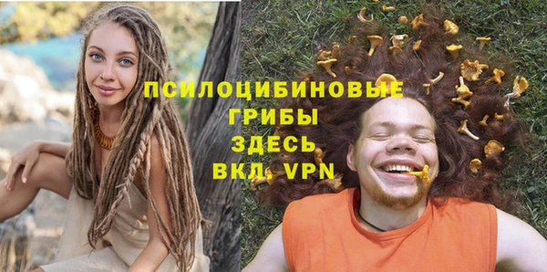 дмт Алексин
