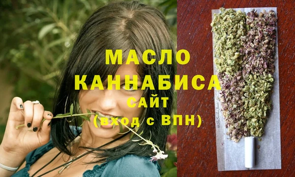дмт Алексин