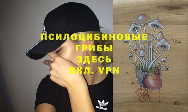 сатива Алзамай