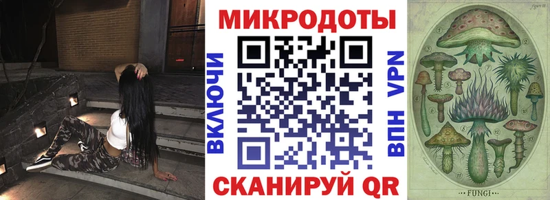 где продают   Жуковский  Псилоцибиновые грибы мухоморы 