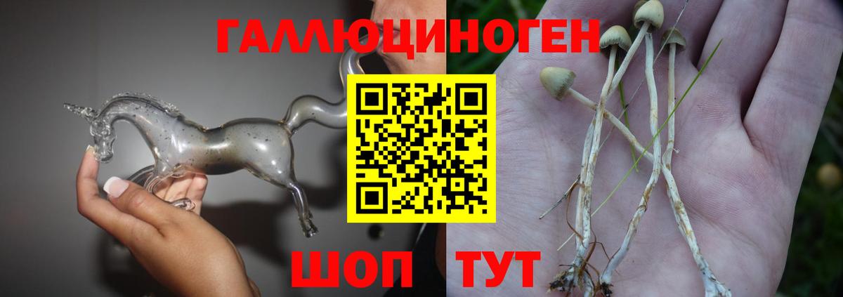 Псилоцибиновые грибы прущие грибы Жуковский
