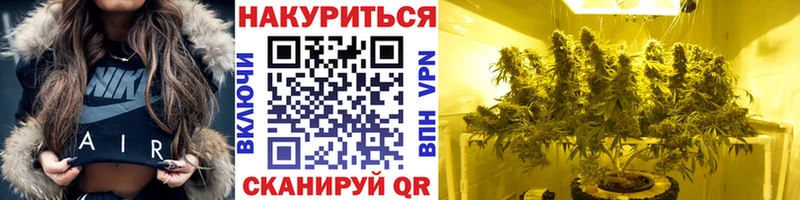 как найти закладки  Жуковский  Бошки марихуана Amnesia 